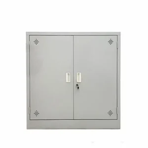 Tủ Sắt Dáng Thấp 2 Cánh Mở - TSVP04