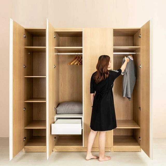 Mẫu tủ quần áo kịch trần 1