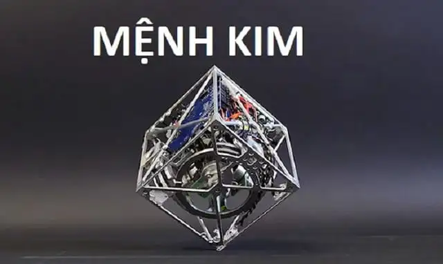 Tìm hiểu bản mệnh giúp việc chọn lựa cây để bàn dễ dàng hơn