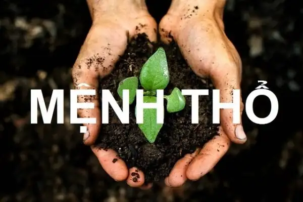 Tìm hiểu người mệnh Thổ