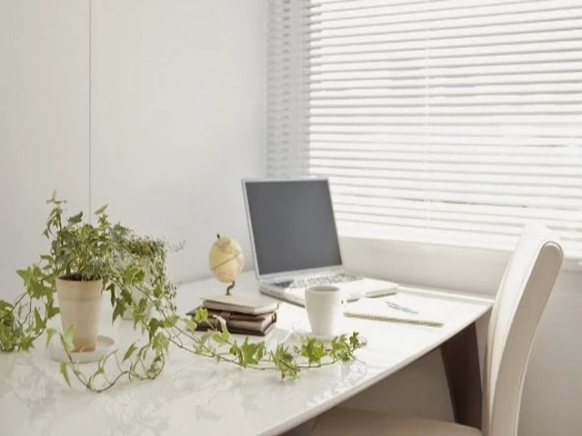 Bố trí bàn làm việc cho nữ Giáp Tý